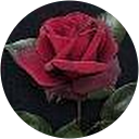 subhash pannu profile picture